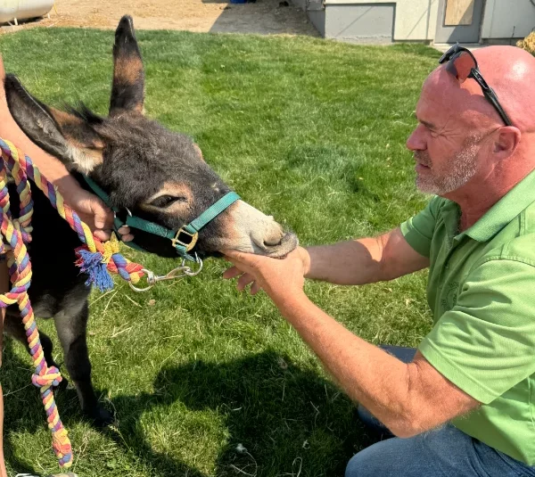 Dental Care — Equine Veterinary Service in Caldwell, Idaho