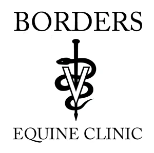 Borders Equine Clinic — Mobile Horse Veterinarian in Caldwell, Idaho