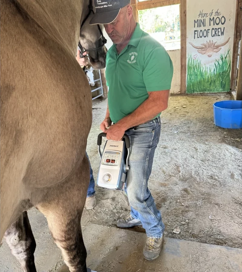 Dr. Danny Borders, equine veterinarian in Caldwell Idaho, examining a horse during a mobile vet visit